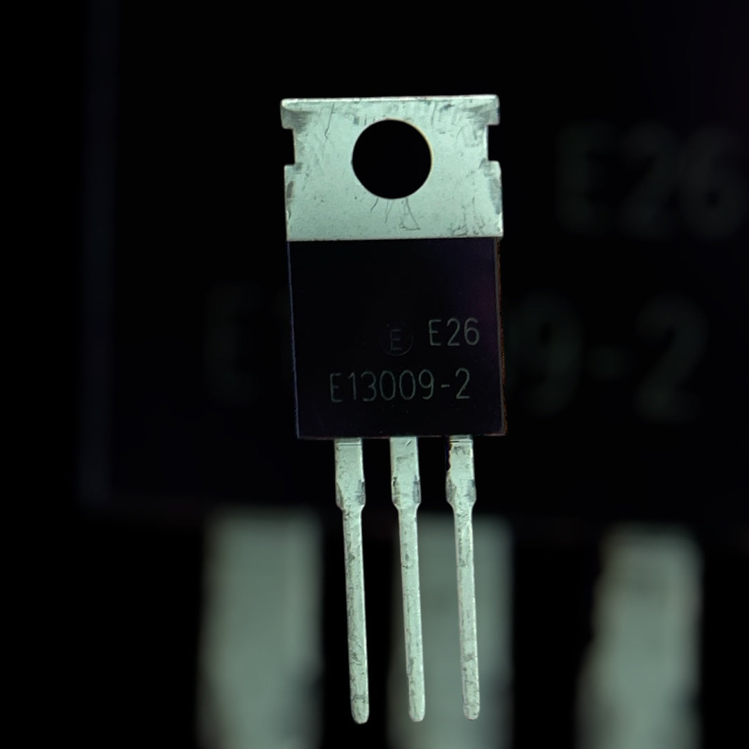 E13009-2