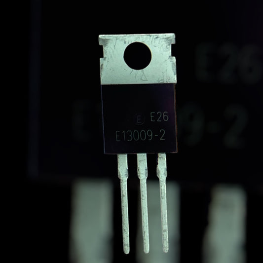 E13009-2