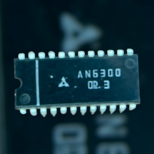 AN6300